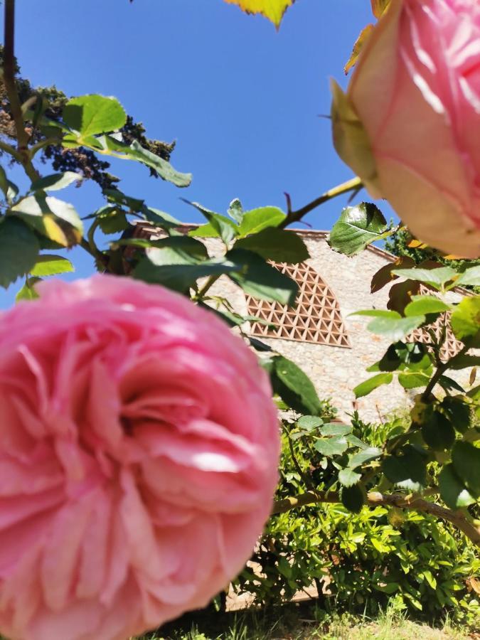 Villa Fattoria Di Mugnano Colle di Val d'Elsa Exterior foto