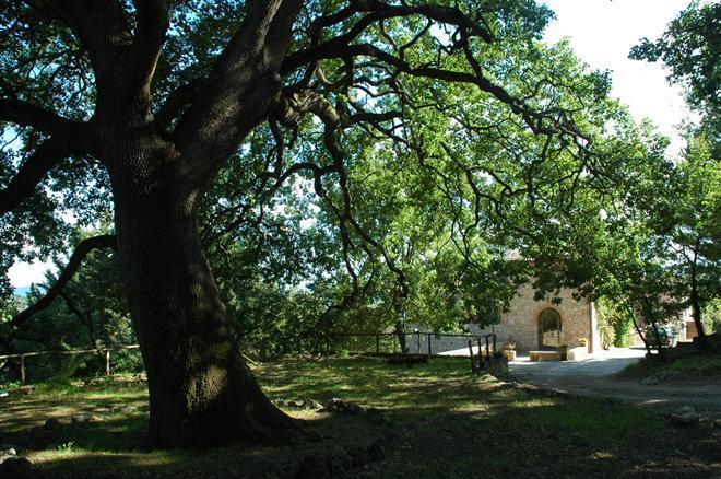Villa Fattoria Di Mugnano Colle di Val d'Elsa Exterior foto